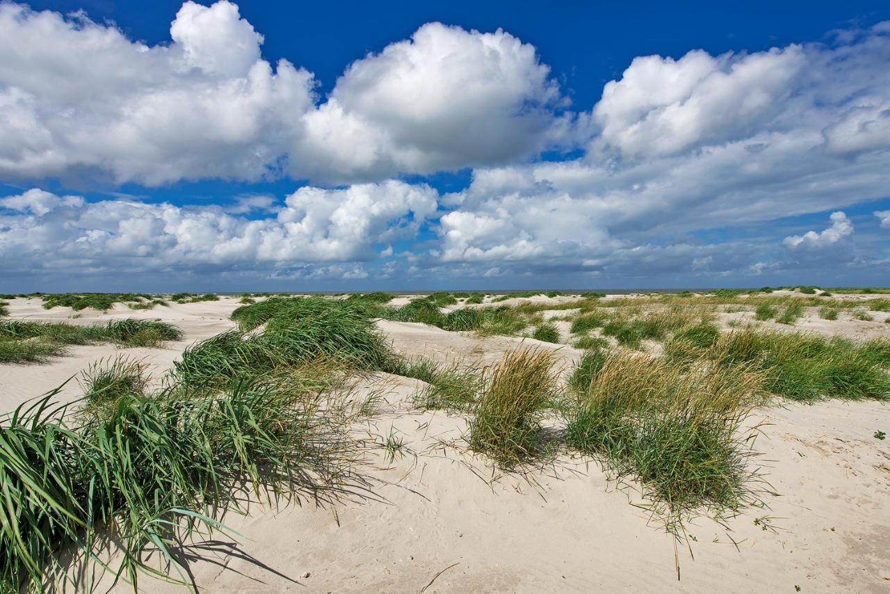 Zeelucht Texel Villa Де Коох Екстериор снимка