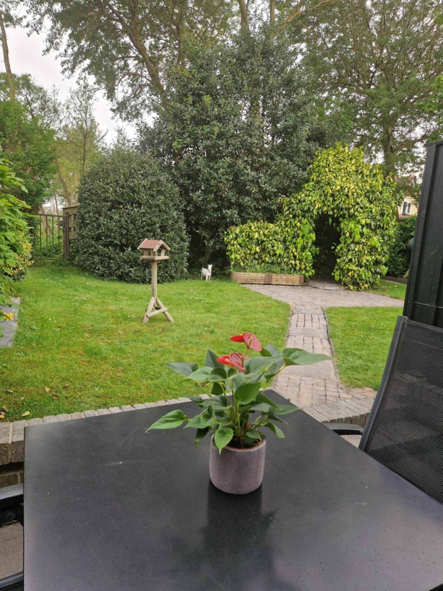 Zeelucht Texel Villa Де Коох Екстериор снимка